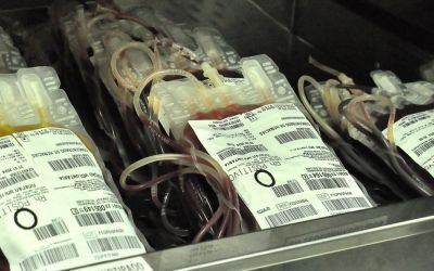 Doações de sangue em Paranavaí ajudam a controlar situação crítica no estoque dos tipos “O” no Paraná